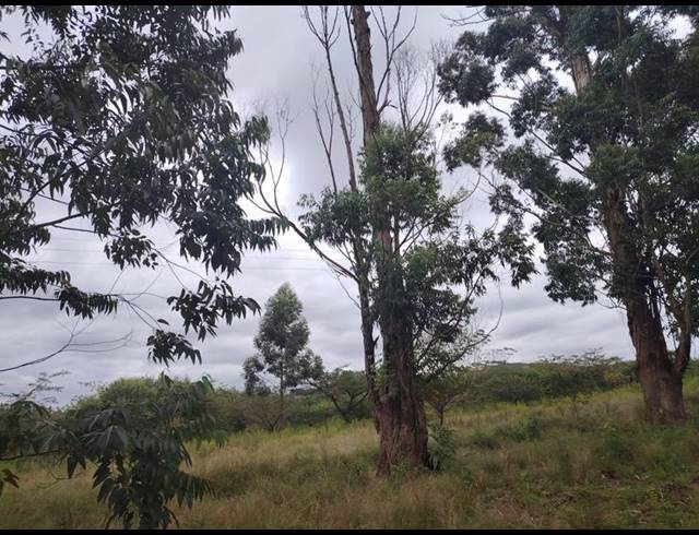 LAND FOR SALE IN CLIFFDALE